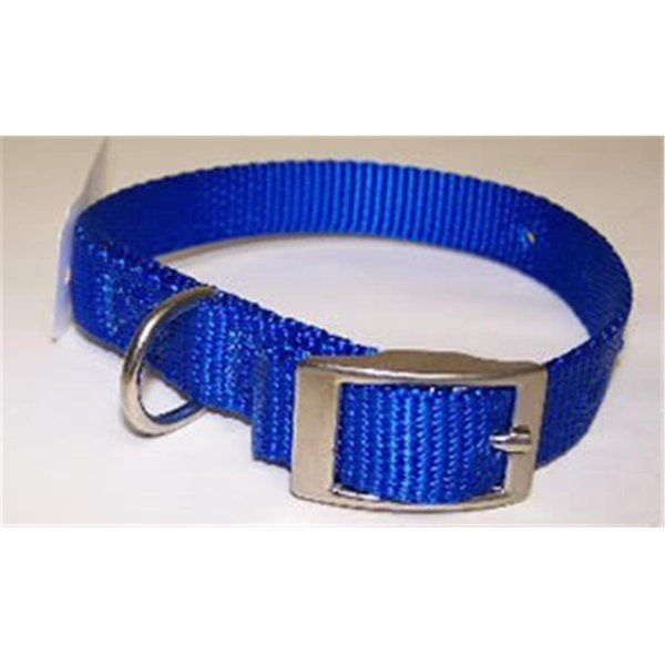 Followerseguidor No.103N BL12 Nylon Collar .62X12in Blue FO2646864